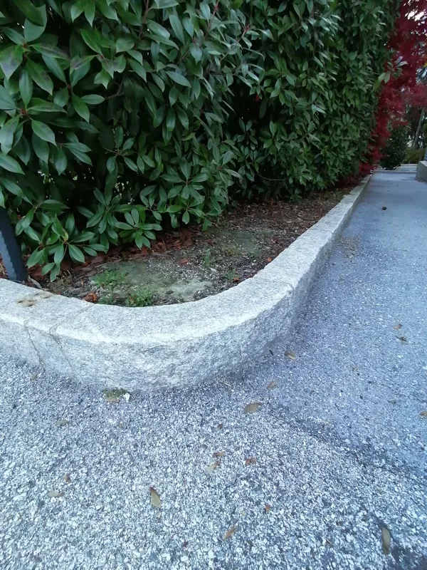 Pietra di Luserna CORDOLI siepe